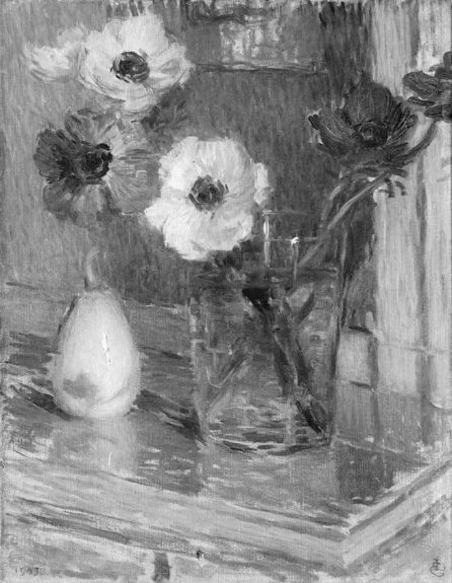 Fiori, anemoni - musées d'Orsay, Parigi